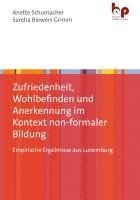 bokomslag Zufriedenheit, Wohlbefinden und Anerkennung im Kontext non-formaler Bildung