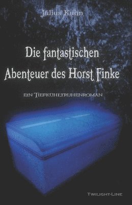 bokomslag Die fantastischen Abenteuer des Horst Finke