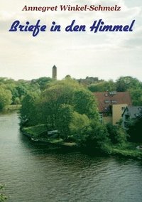 bokomslag Briefe in den Himmel