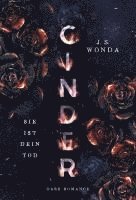 CINDER 1