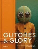 bokomslag Glitches & Glory