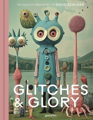 bokomslag Glitches & Glory