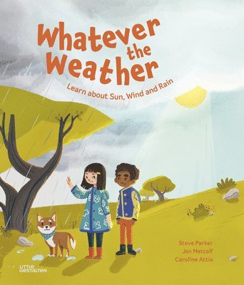 Parker, Metcalf, Steve Little Gestalten - Whatever the Weather, Inbunden