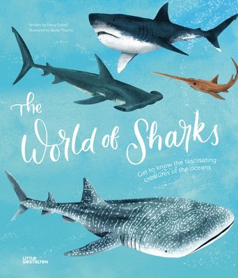 bokomslag The World of Sharks