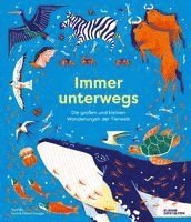 Sara Forster, Olivia Forster, Friederike Christoph, Kleine Gestalten - Immer unterwegs, Inbunden