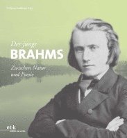 Wolfgang Sandberger - Der junge Brahms, Häftad