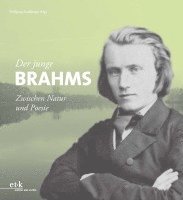 bokomslag Der junge Brahms