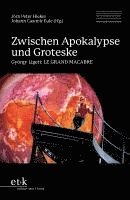 bokomslag Zwischen Apokalypse und Groteske