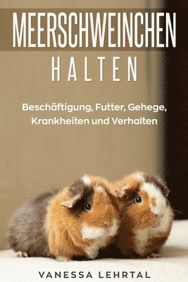 bokomslag Meerschweinchen halten