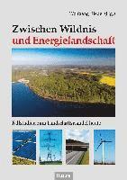 Wolfgang Riedel - Zwischen Wildnis und Energielandschaft, Häftad