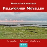 bokomslag Pellwormer Novellen
