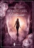 Gisela B. Schmidt - Im Rausch des Vergessens, Häftad