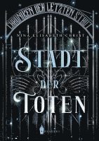 bokomslag Stadt der Toten