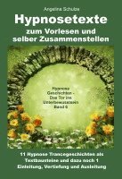 bokomslag Hypnosetexte zum Vorlesen und selber Zusammenstellen