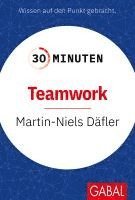 Martin-Niels Däfler - 30 Minuten Teamwork, Häftad