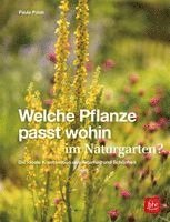 Paula Polak - Welche Pflanze passt wohin im Naturgarten?, Inbunden