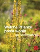 bokomslag Welche Pflanze passt wohin im Naturgarten?