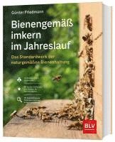 bokomslag Bienengemäß imkern im Jahreslauf