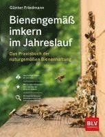 bokomslag Bienengemäß imkern im Jahreslauf