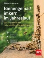 Günter Friedmann - Bienengemäß imkern im Jahreslauf, Inbunden