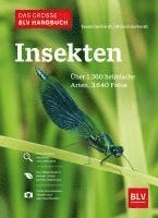 bokomslag Das große BLV Handbuch Insekten