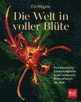 Die Welt in voller Blüte: Eine botanische Entdeckungsreise zu den schönsten Blütenpflanzen der Welt 1