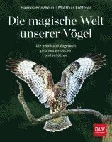 bokomslag Die magische Welt unserer Vögel