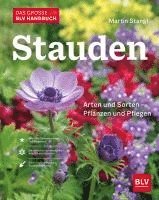 Das BLV Handbuch Stauden 1