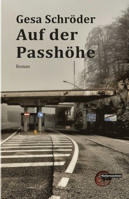Gesa Schröder - Auf der Passhöhe, Häftad