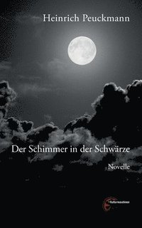 bokomslag Der Schimmer in der Schwärze