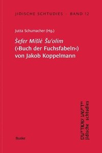 bokomslag Jidische Schtudies 12