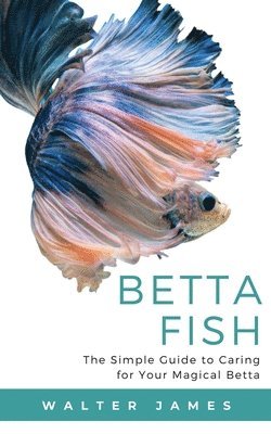 Betta Fish 1