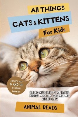 bokomslag All Things Cats & Kittens For Kids