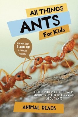 bokomslag All Things Ants For Kids