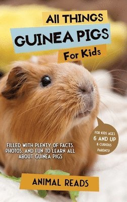 bokomslag All Things Guinea Pigs For Kids