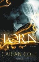 bokomslag Torn