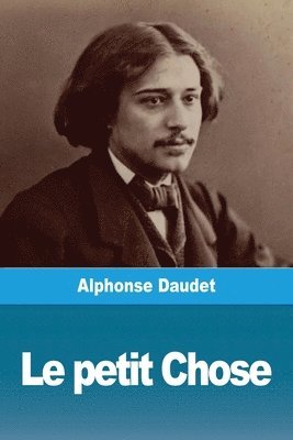 Alphonse Daudet - petit Chose, Häftad