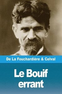 bokomslag Le Bouif errant