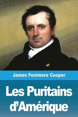 bokomslag Les Puritains d'Amérique