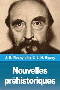 bokomslag Nouvelles préhistoriques