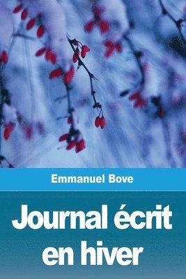 bokomslag Journal écrit en hiver