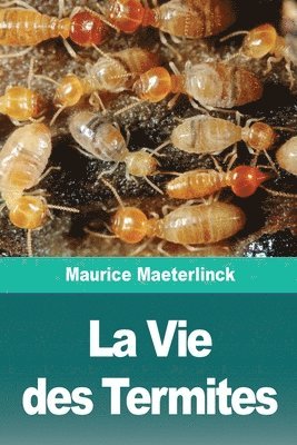 Maurice Maeterlinck - Vie des Termites, Häftad