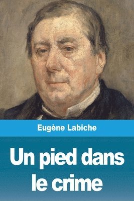 bokomslag pied dans le crime