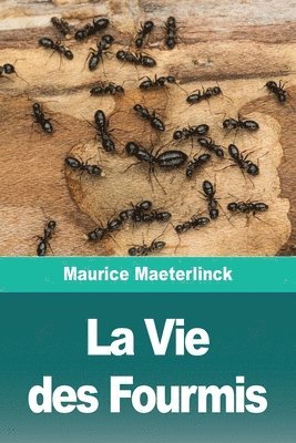 La Vie des Fourmis 1