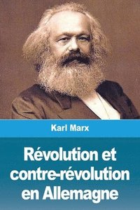 bokomslag Révolution et contre-révolution en Allemagne