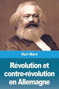 bokomslag Revolution et contre-revolution en Allemagne