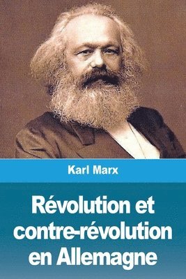 bokomslag Révolution et contre-révolution en Allemagne
