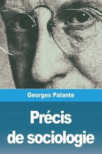 bokomslag Précis de sociologie