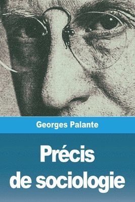 bokomslag Précis de sociologie