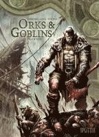 bokomslag Orks & Goblins. Band 13